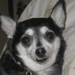 Meet your Posher, Bonnie lynn